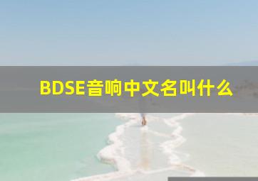 BDSE音响中文名叫什么