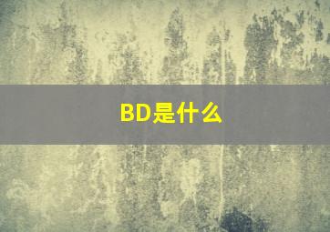 BD是什么