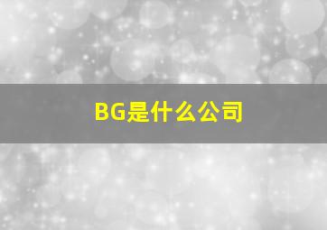 BG是什么公司