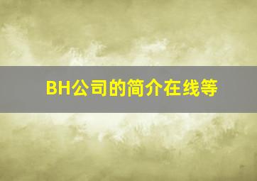 BH公司的简介,在线等