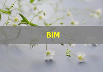 BIM 