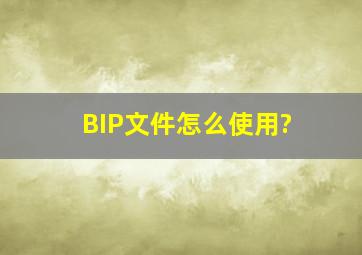 BIP文件怎么使用?