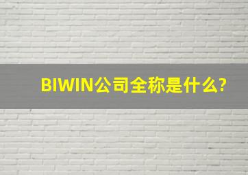 BIWIN公司全称是什么?