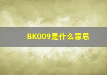 BK009是什么意思