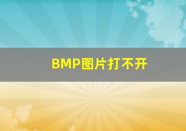 BMP图片打不开