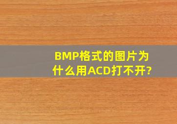 BMP格式的图片为什么用ACD打不开?