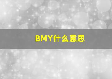 BMY什么意思