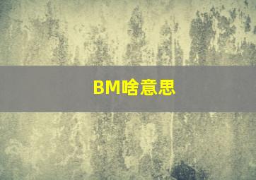 BM啥意思