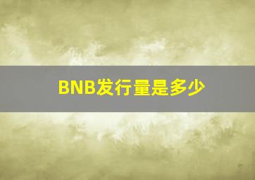 BNB发行量是多少 