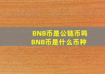 BNB币是公链币吗BNB币是什么币种 