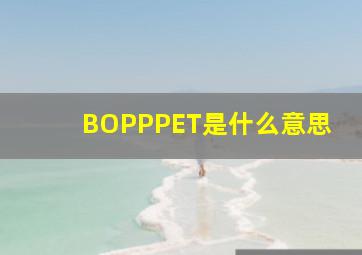 BOPP,PET是什么意思