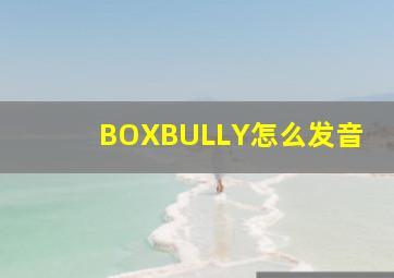 BOXBULLY怎么发音