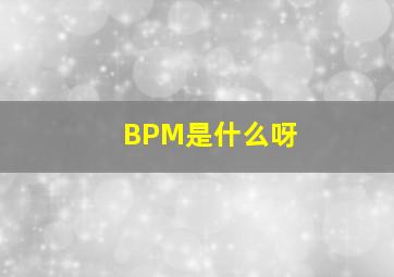 BPM是什么呀