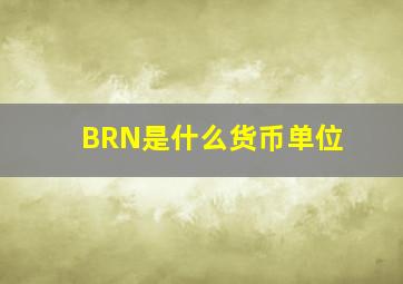 BRN是什么货币单位