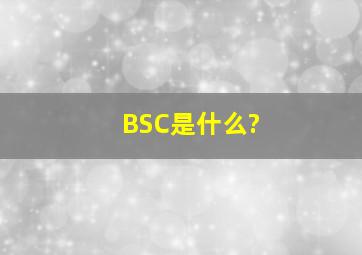 BSC是什么?