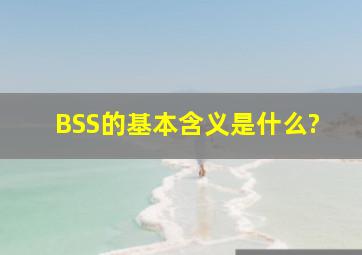 BSS的基本含义是什么?