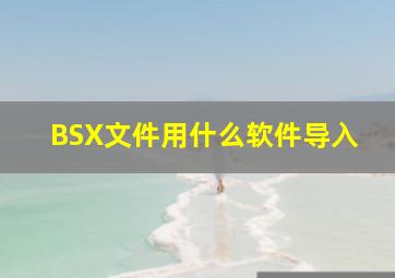 BSX文件用什么软件导入