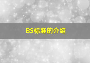 BS标准的介绍