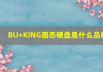 BU+KING固态硬盘是什么品牌