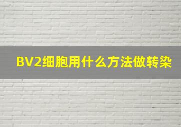 BV2细胞用什么方法做转染(