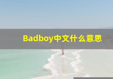 Badboy中文什么意思