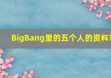 BigBang里的五个人的资料?