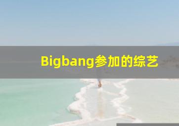 Bigbang参加的综艺