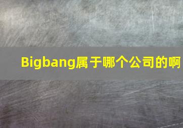 Bigbang属于哪个公司的啊