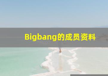 Bigbang的成员资料