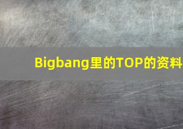 Bigbang里的TOP的资料