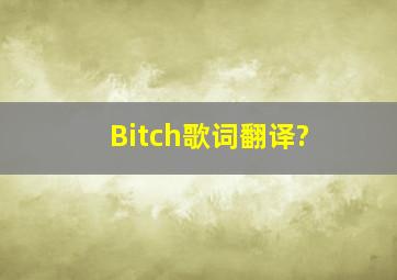 Bitch歌词翻译?