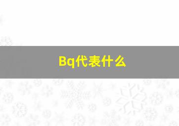 Bq代表什么(