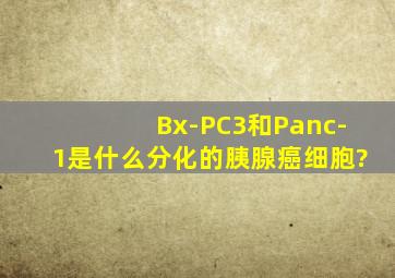 Bx-PC3和Panc-1是什么分化的胰腺癌细胞?