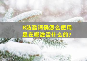 B站邀请码怎么使用,是在哪激活什么的?