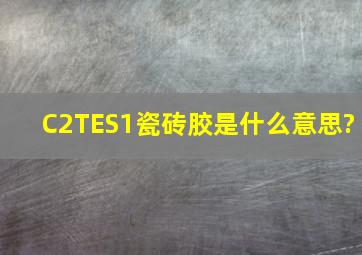 C2TES1瓷砖胶是什么意思?