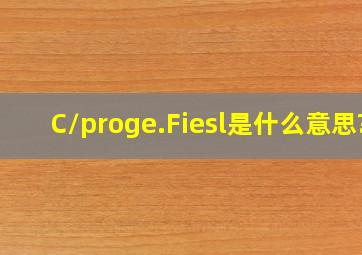 C;/proge.Fiesl是什么意思?