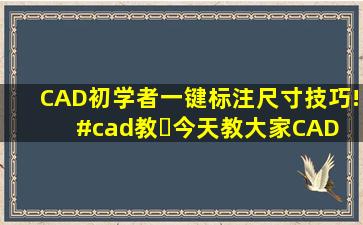 CAD初学者一键标注尺寸技巧!#cad教。✨今天教大家CAD 