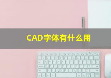 CAD字体有什么用