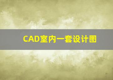 CAD室内一套设计图