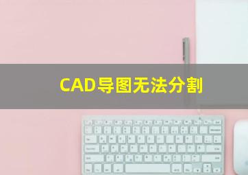 CAD导图,无法分割