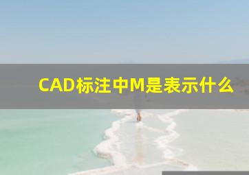 CAD标注中M是表示什么(