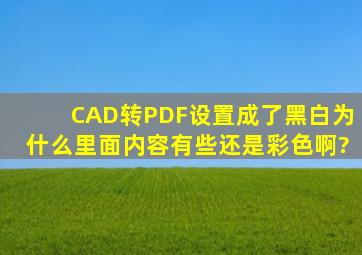 CAD转PDF设置成了黑白为什么里面内容有些还是彩色啊?