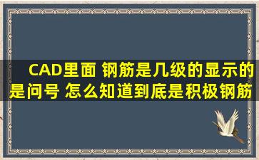 CAD里面 钢筋是几级的显示的是问号 怎么知道到底是积极钢筋啊