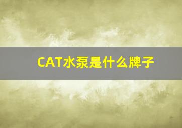 CAT水泵是什么牌子