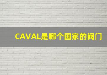 CAVAL是哪个国家的阀门(
