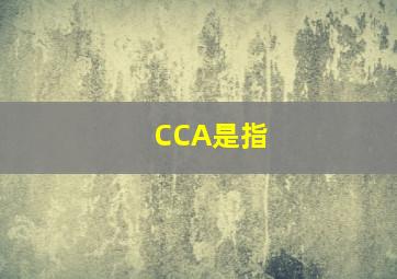 CCA是指