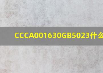 CCCA001630GB5023什么意思?