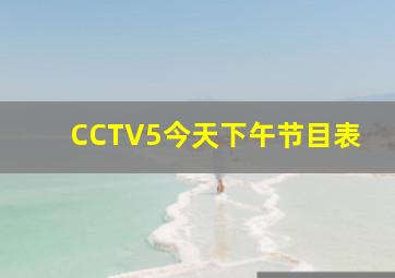 CCTV5今天下午节目表
