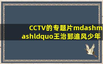 CCTV的专题片——“王治郅追风少年”中的旁白是谁啊,声音好有磁性...