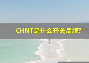 CHNT是什么开关品牌?